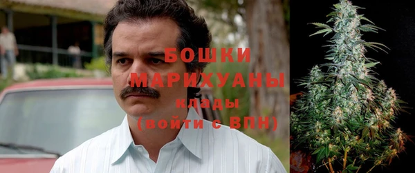 дживик Соль-Илецк