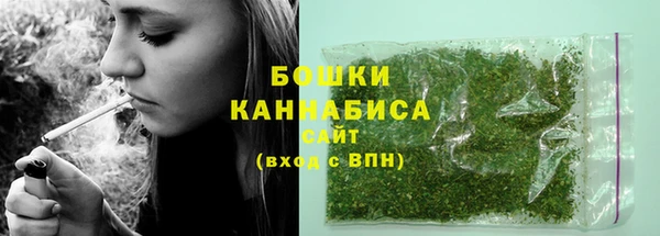 шишки Тобольск