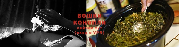 шишки Тобольск