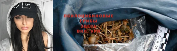 шишки Тобольск