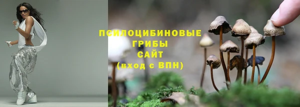 прущие грибы Балахна