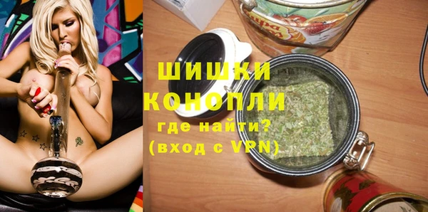 прущие грибы Балахна