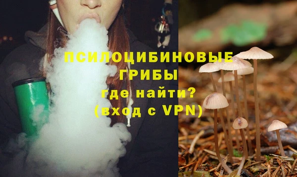 твердый Соликамск