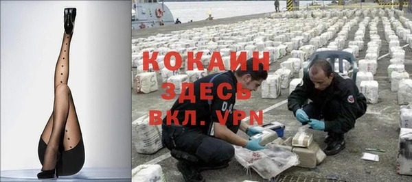 крисы Баксан
