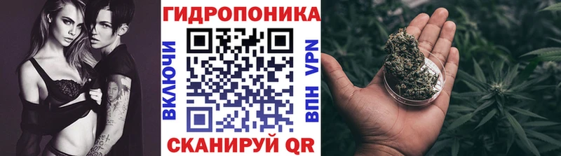 Конопля OG Kush Вологда